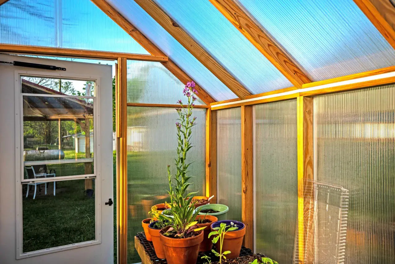 8 x 20 Greenhouse
