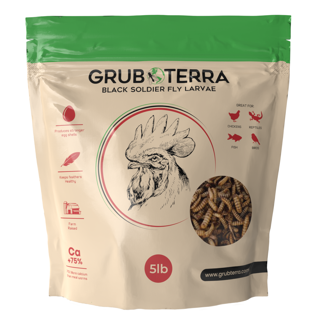 5lbs GrubTerra Dried Black Soldier Fly Larvae