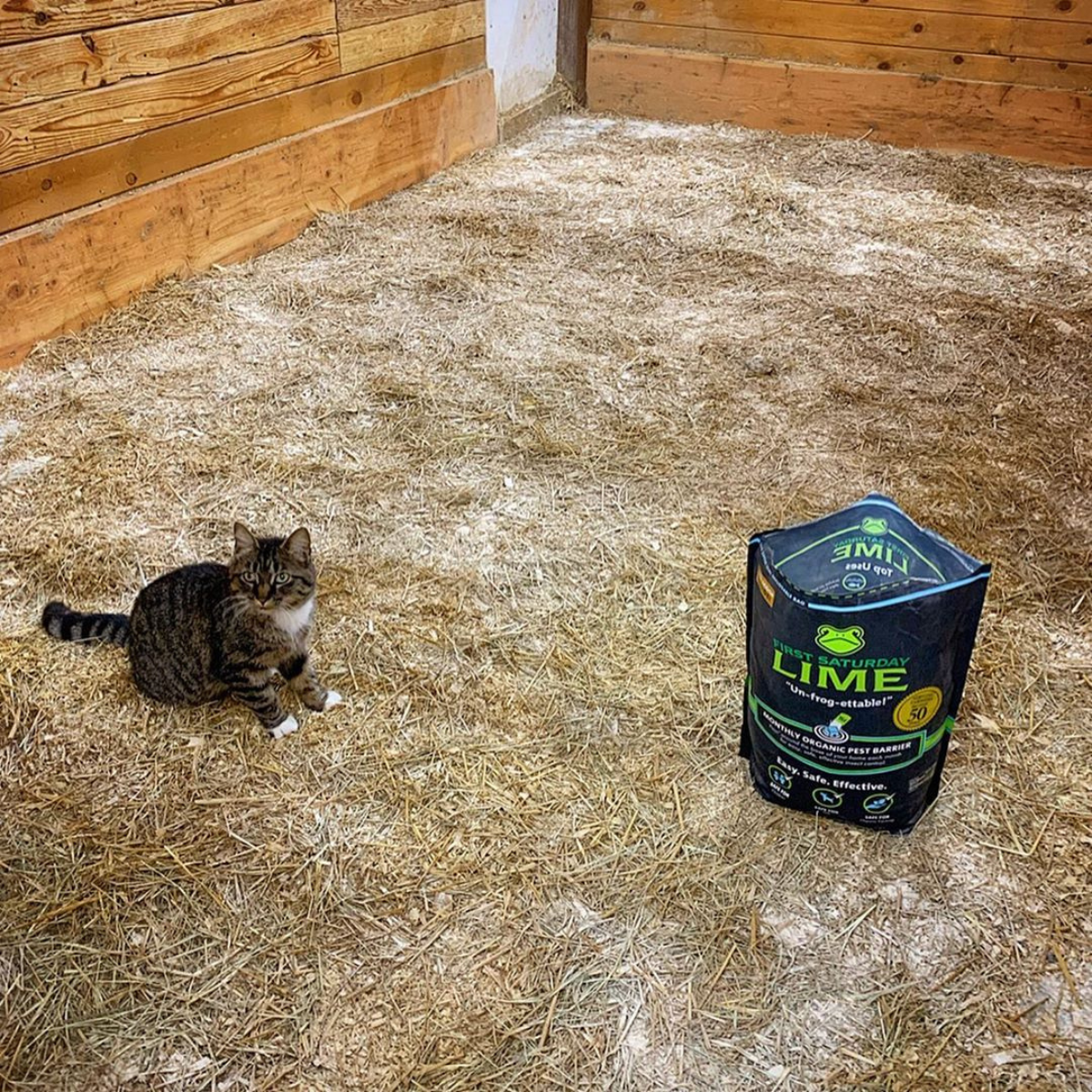 Cat Next to a Bag of First Saturday Lime