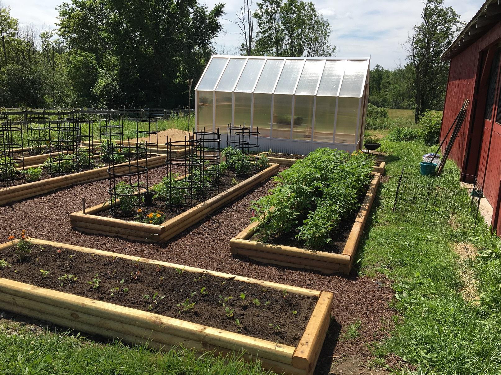8 x 16 Greenhouse