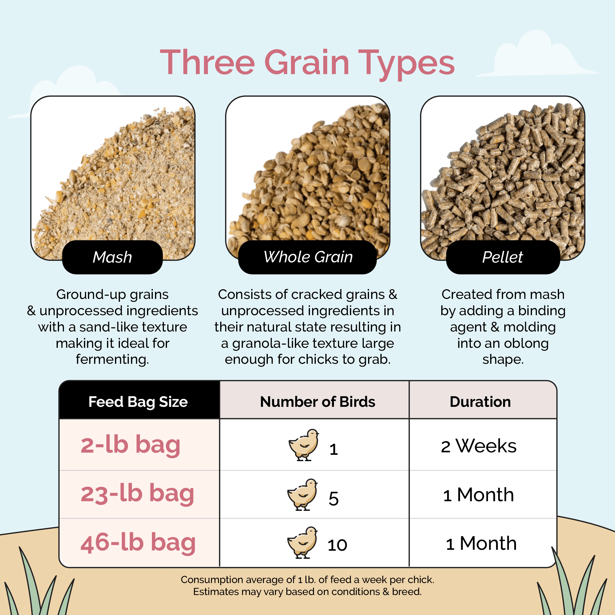 Layer Organic Chicken Feed