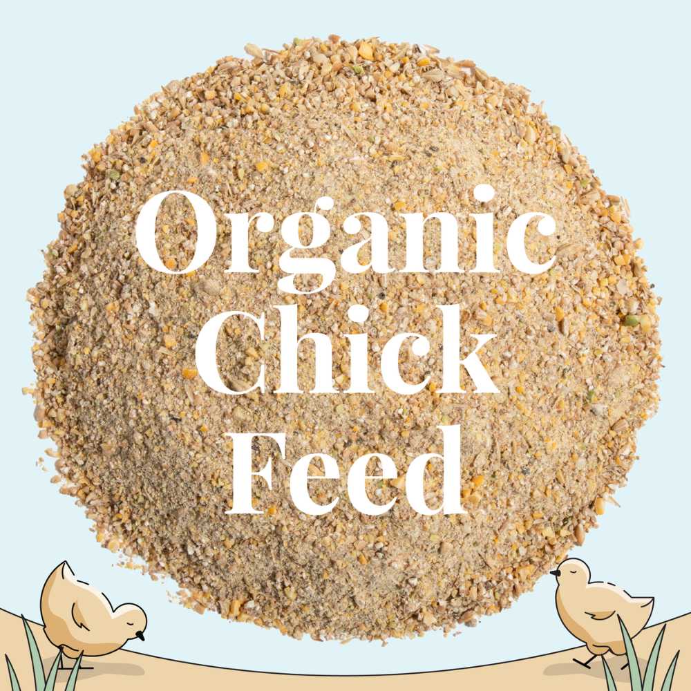 Starter Organic Chicken Feed | OverEZ Chicken Coop