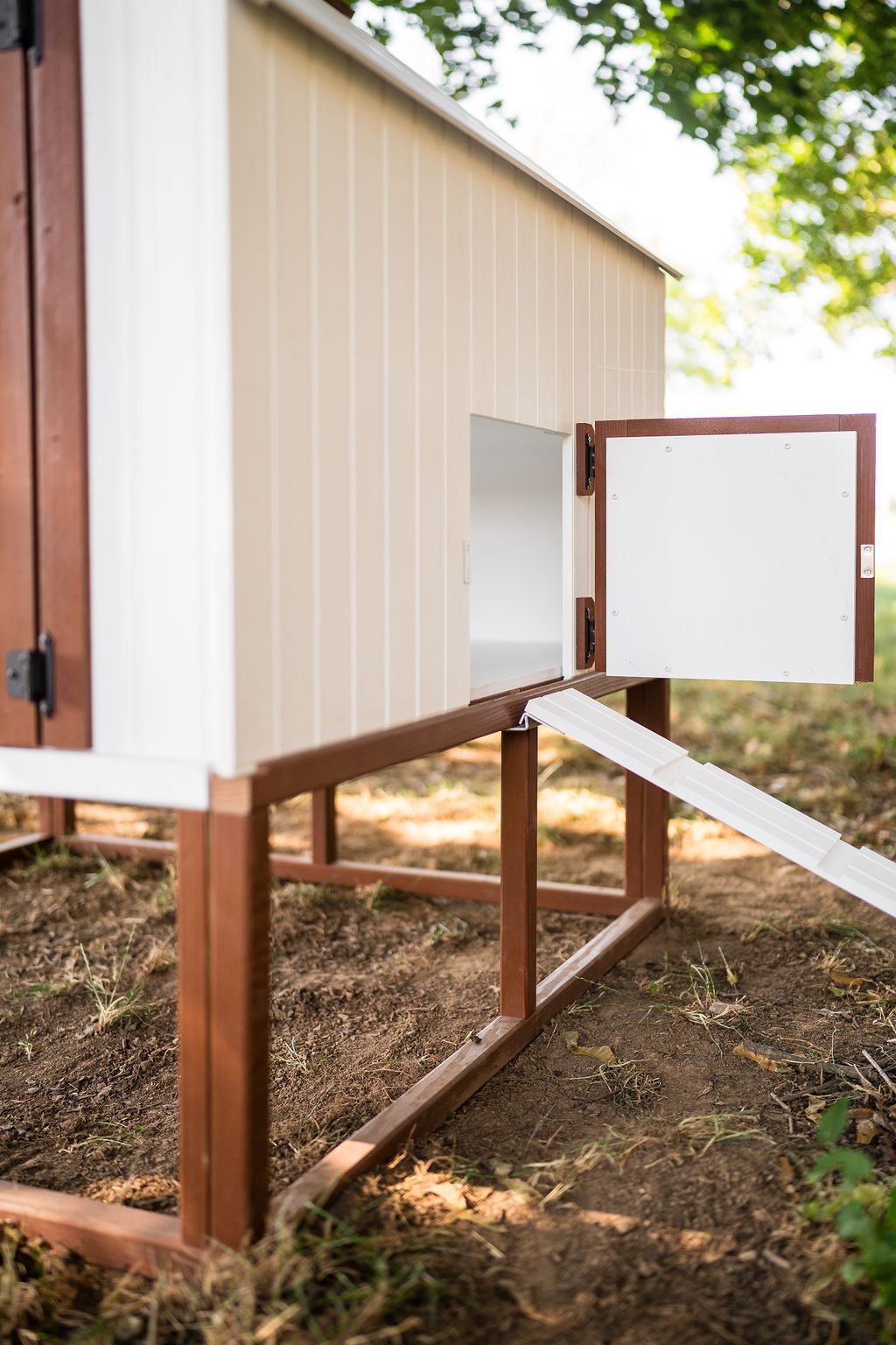 Chicken Door and Ramp on OverEZ Cottage Chicken Coop