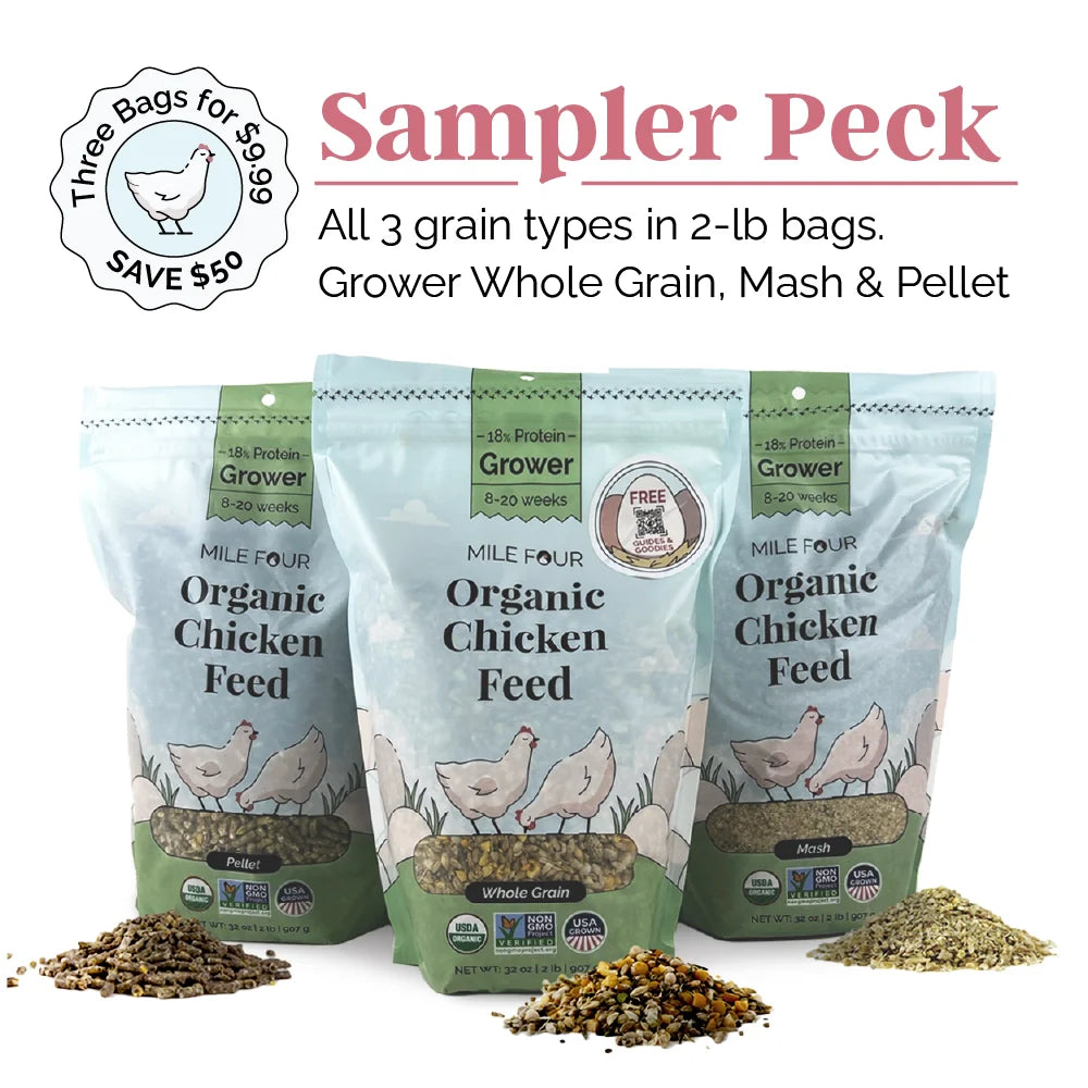 Chicken Sampler Grower Organic Chicken Feed | OverEZ Chicken Coop