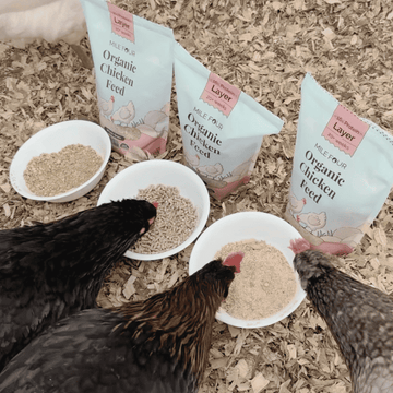 Layer Organic Chicken Feed | OverEZ Chicken Food – OverEZ Chicken Coop