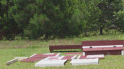 Walk-In Chicken Coop Assembly