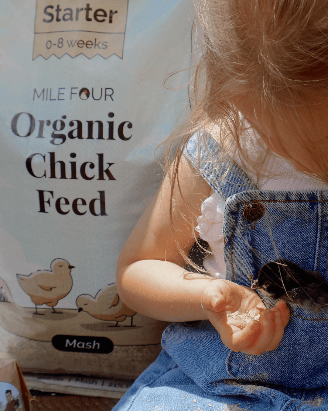 Starter Organic Chicken Feed