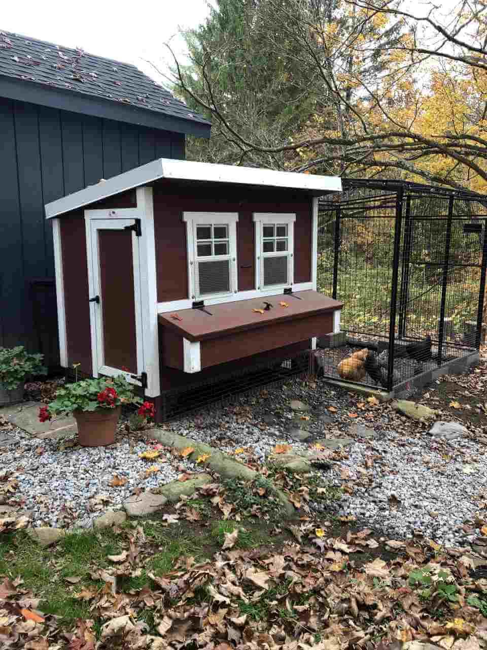 8ft Walk-In OverEZ Chicken Run Attached to Large Coop