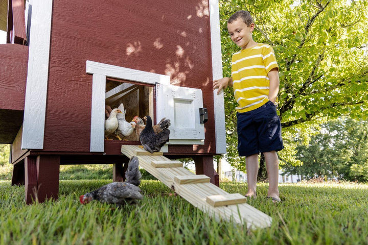 Large Chicken Coops - Up to 15 Chickens - OverEZ Chicken Coop