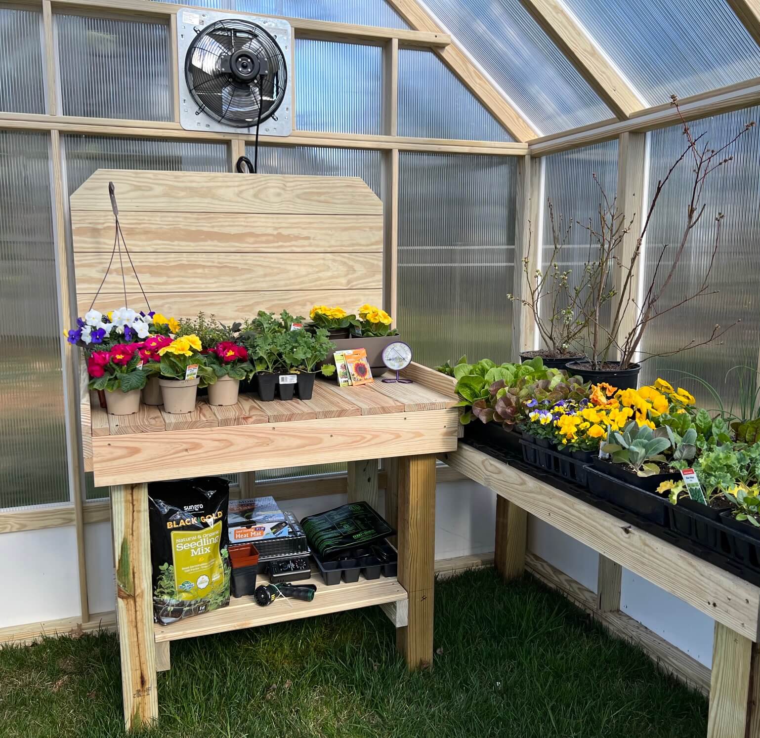 Workbench with Plants and Flowers Inside 8 x 12 EZ Greenhouse