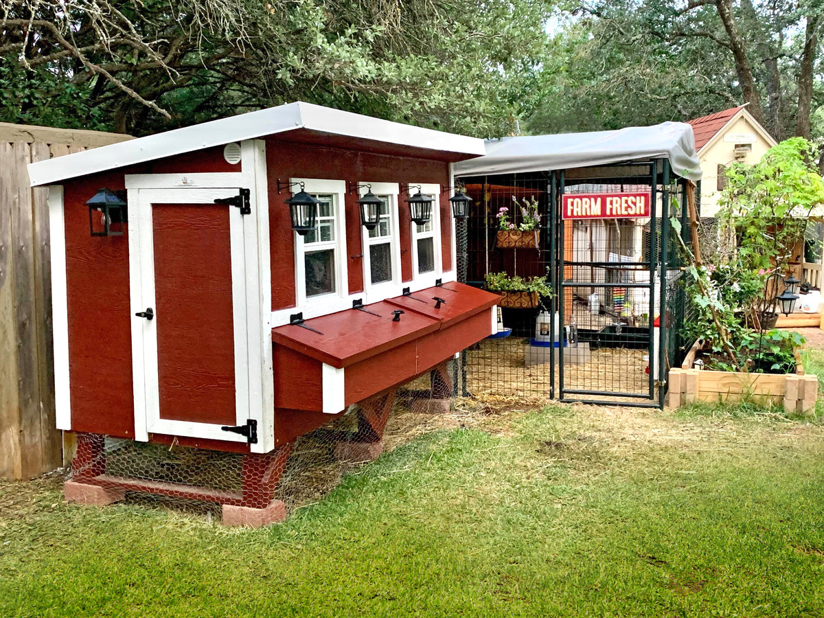 XL OverEZ Chicken Coop