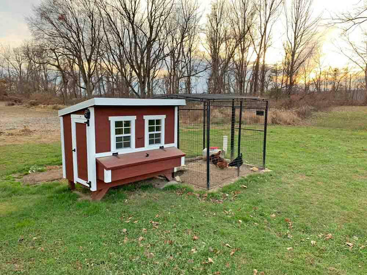 Large OverEZ Chicken Coop with Chicken Run