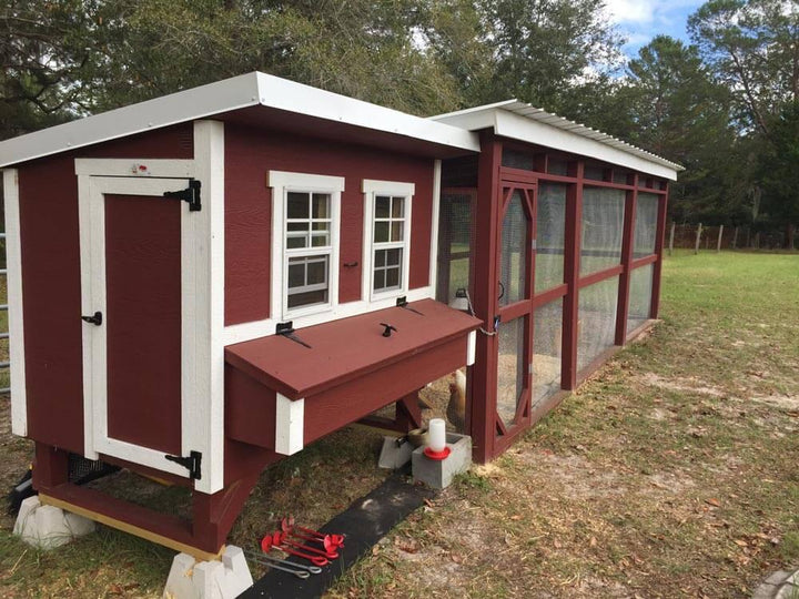 Large OverEZ Chicken Coop with Custom Matching Chicken Run