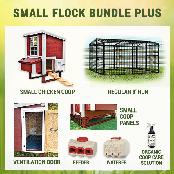 Small Flock Bundle Plus