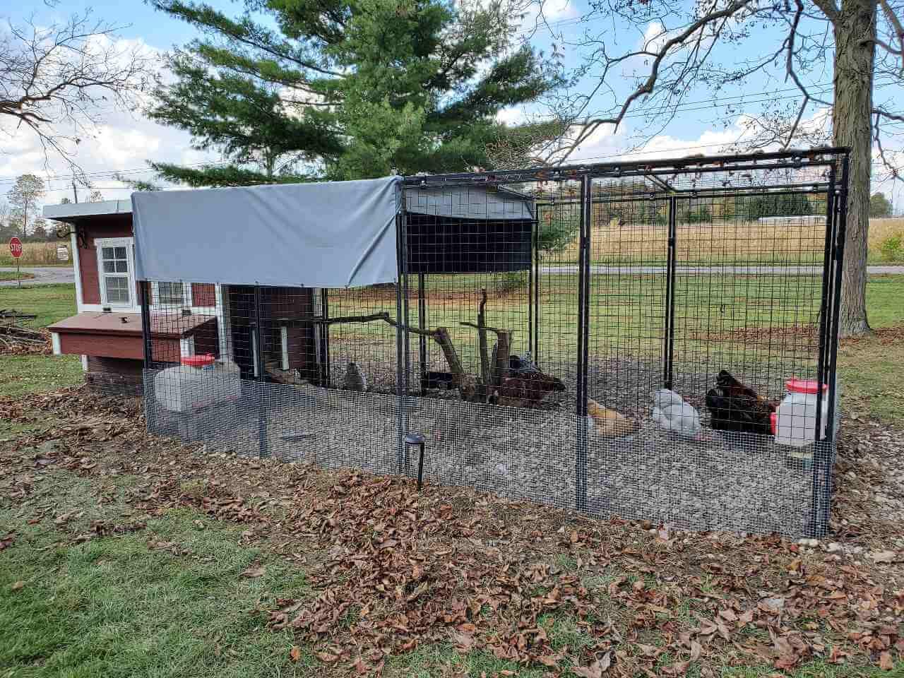 OverEZ Walk-In 15ft Chicken Run With Tarp and Large Coop and Chickens