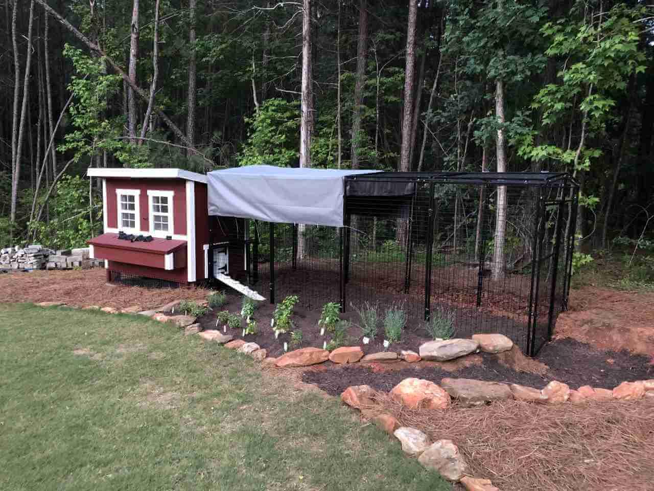 OverEZ Walk-In 15ft Chicken Run With Tarp Attached to Large Coop