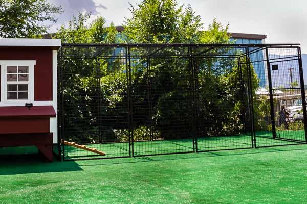 Large OverEZ Chicken Coop with Walk-In 15 Ft. Chicken Run