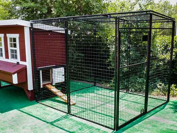 Large OverEZ Chicken Coop and Walk-In 8 Ft. Chicken Run