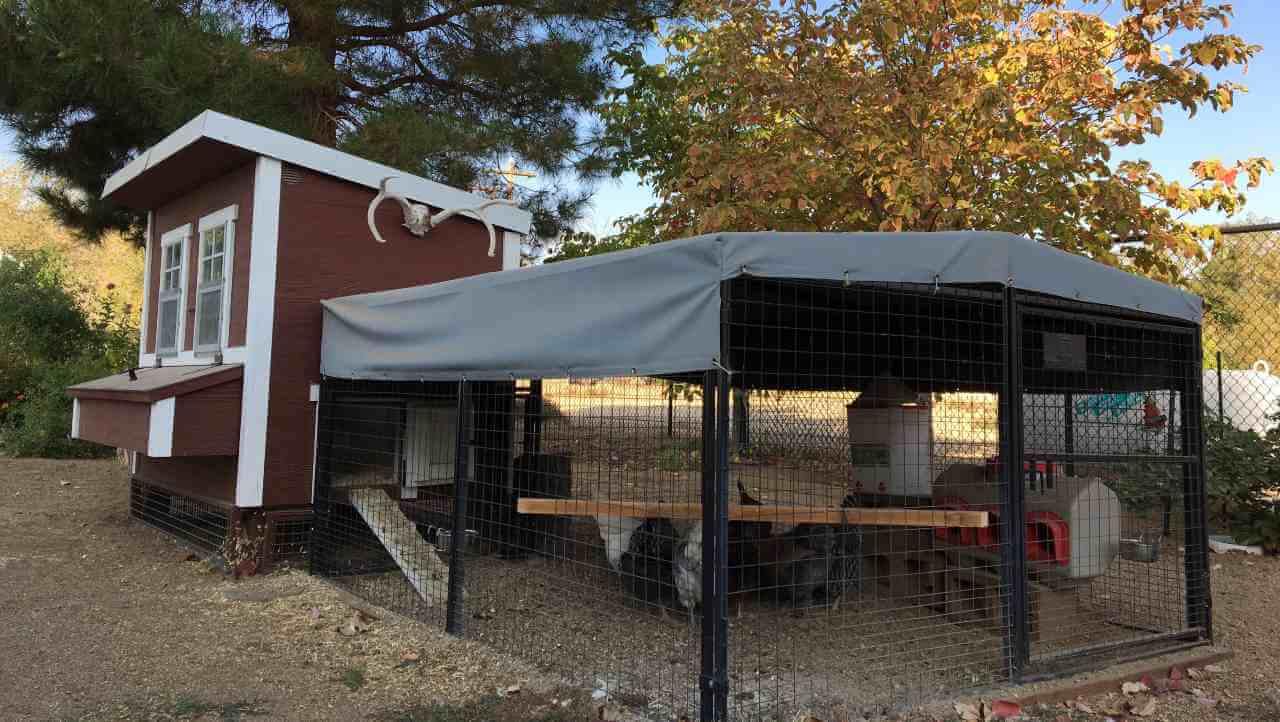 Regular 8ft OverEZ Chicken Run Attached to Large Chicken Coop Side View