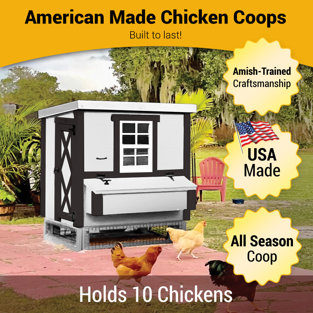 Farmhouse Medium Chicken Coop Holds 10 Chickens