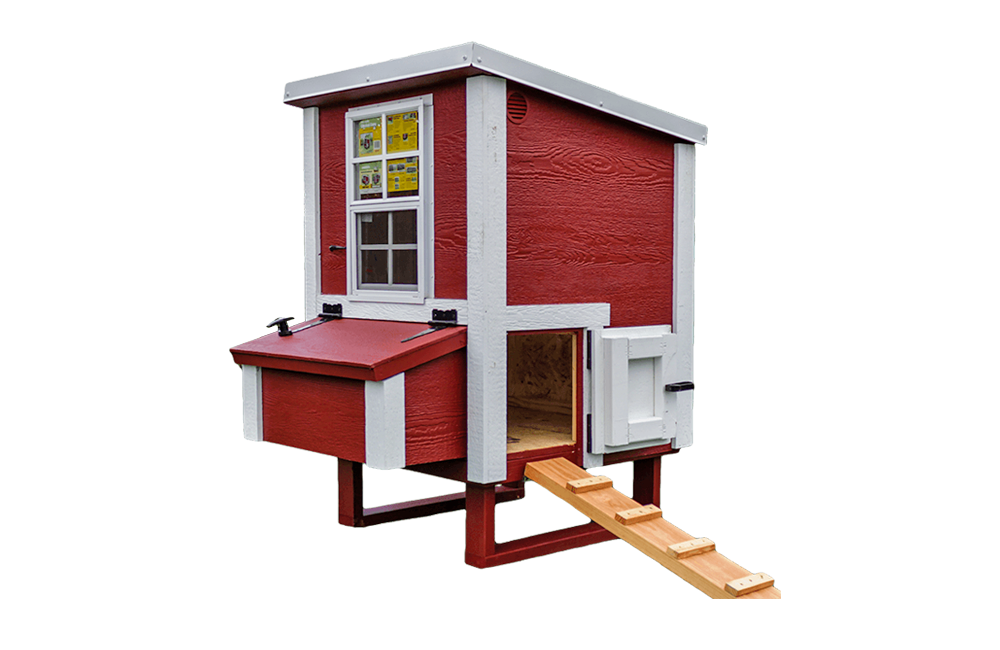 Small OverEZ Chicken Coop