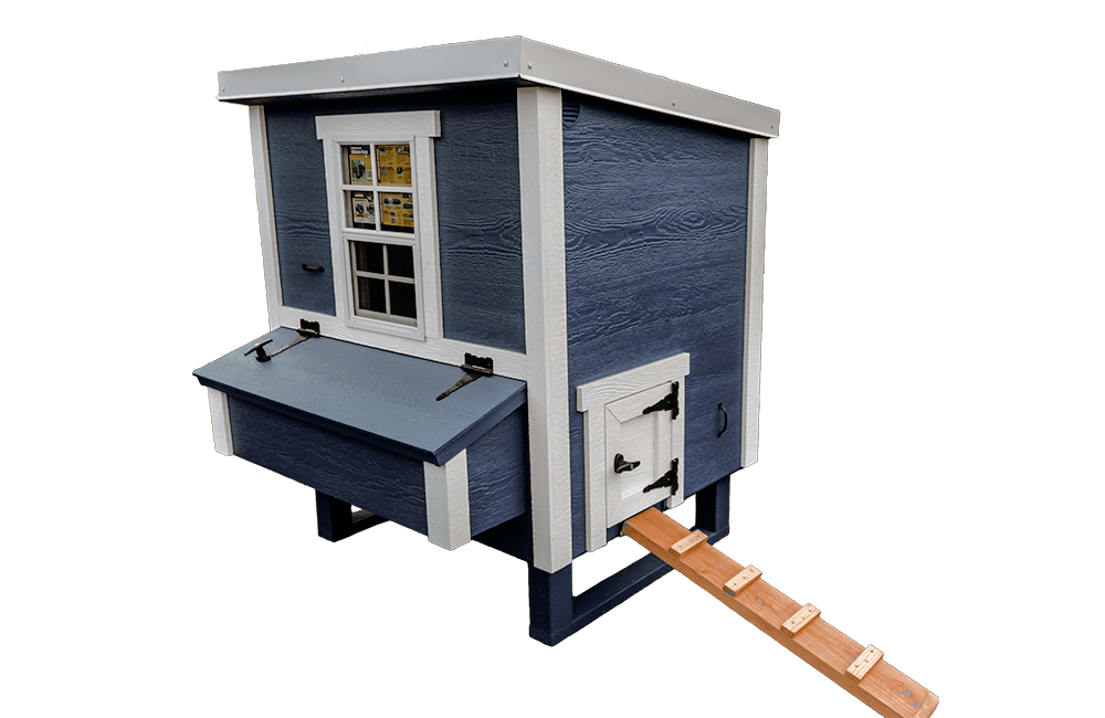 Medium Coastal Chicken Coop