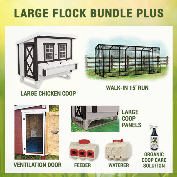 Farmhouse Large Flock Bundle Plus